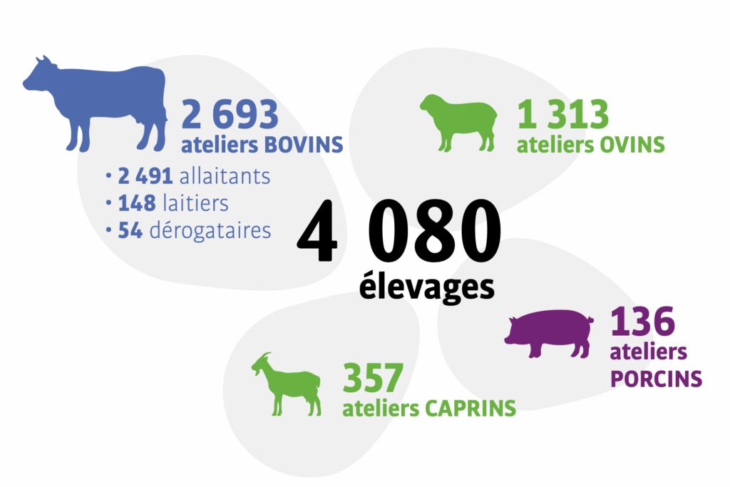 Ateliers GDS 2024-2025